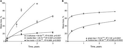 The Dynamics of Mass Loss and Nutrient Release of Decomposing Fine Roots, Needle Litter and Standard Substrates in Hemiboreal Coniferous Forests